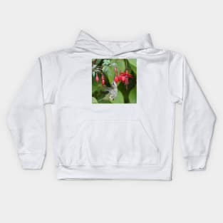 Hummingbird fuchsias Kids Hoodie